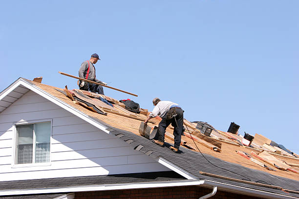 Best Gutter Installation and Repair  in Hwatha, IA